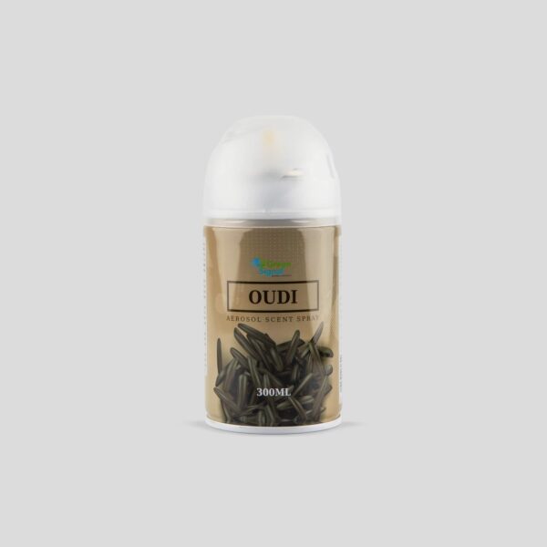 Aerosol Oudi